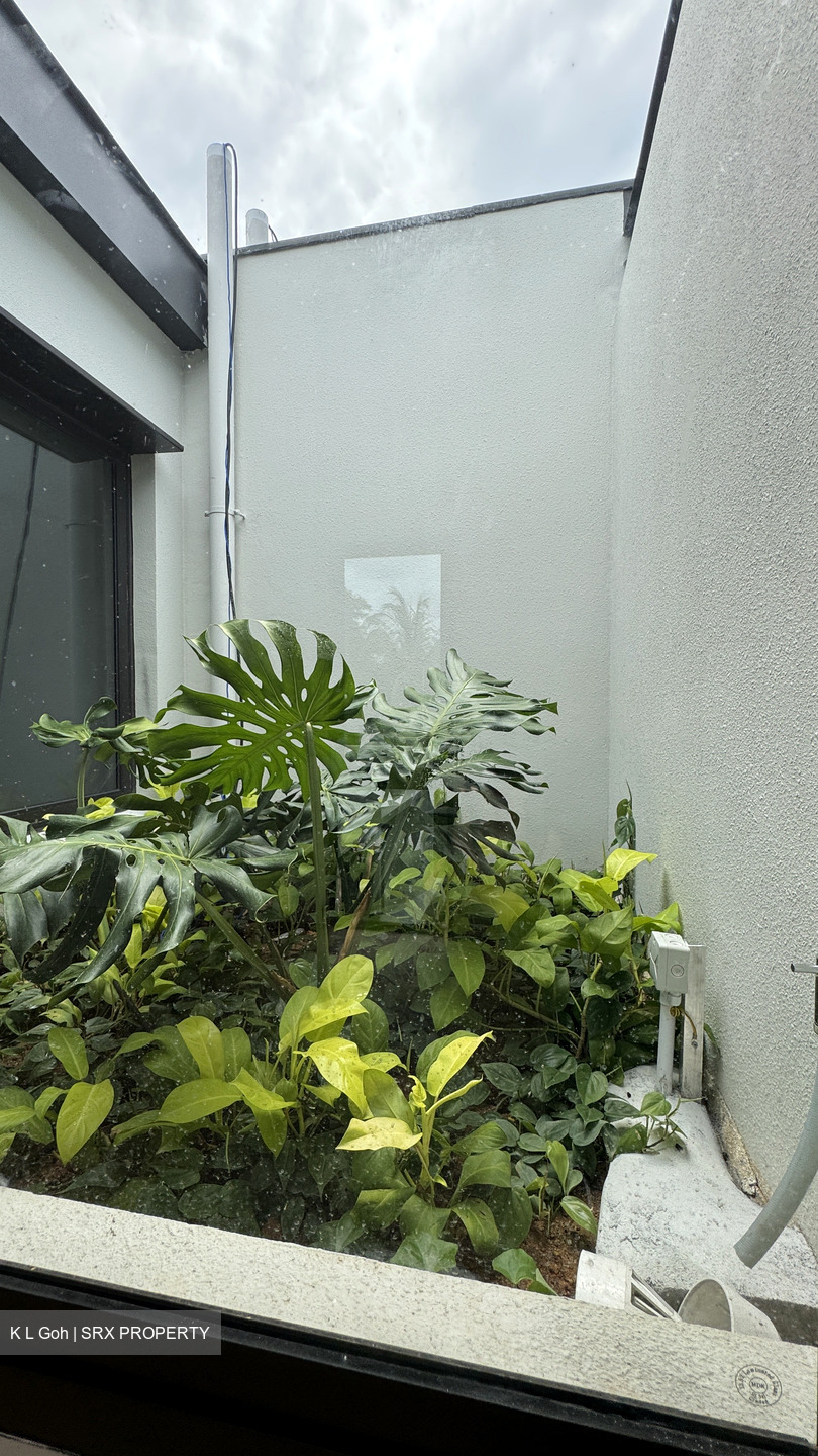 Kheam Hock Road (D11), Semi-Detached #550376661